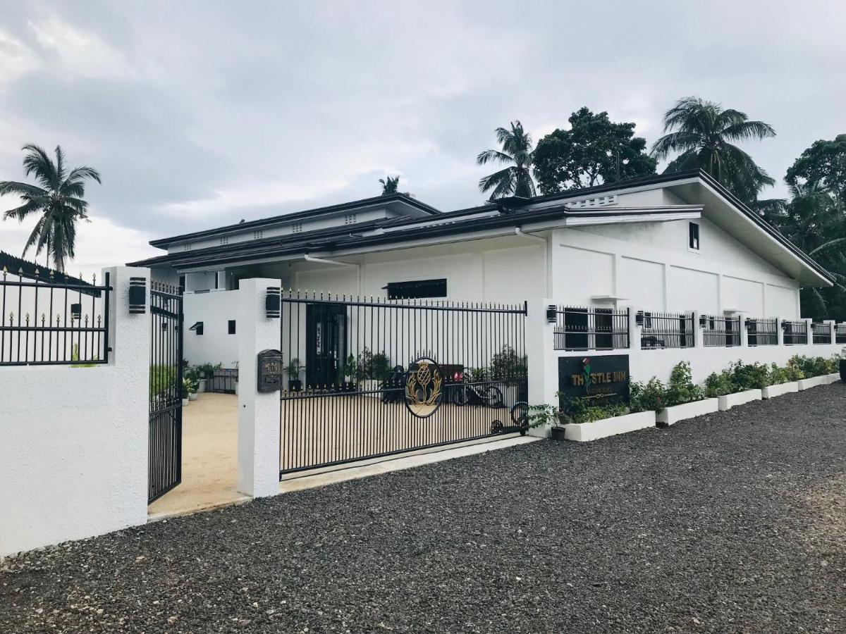 Thistle Inn Panglao Kültér fotó